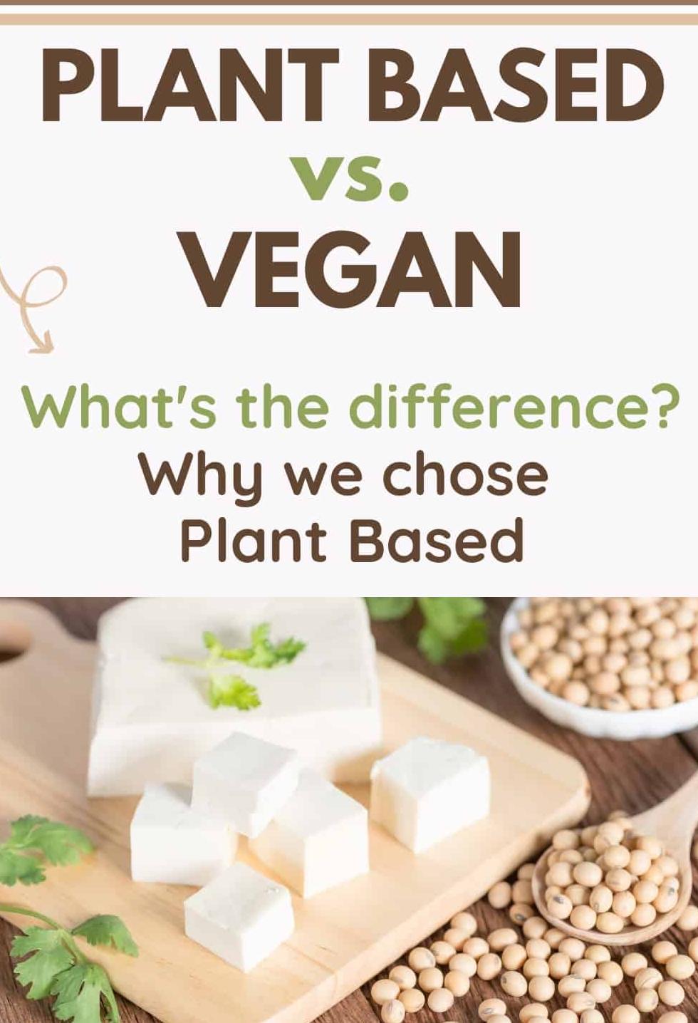 Plant-Based vs Vegan Diet: What's the Difference? | The Healthy Consultant